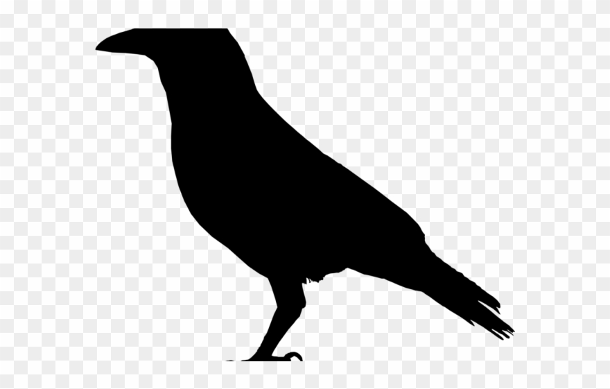 Raven Silhouette Cliparts 880x561 Raven Silhouette Cliparts