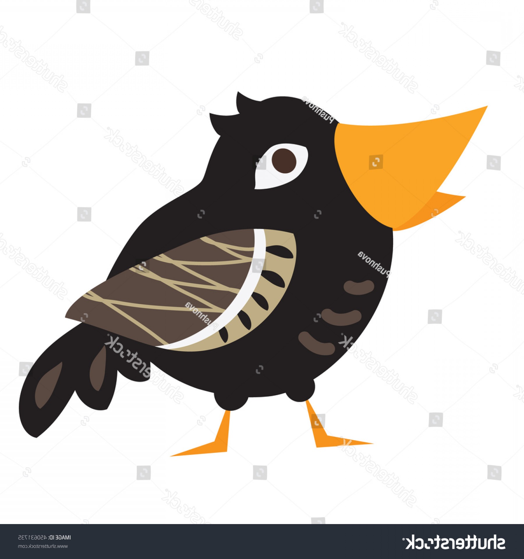 Vectors Cute Crow Hoodamathrun 1800x1920 Vectors Cute Crow Hoodamathrun