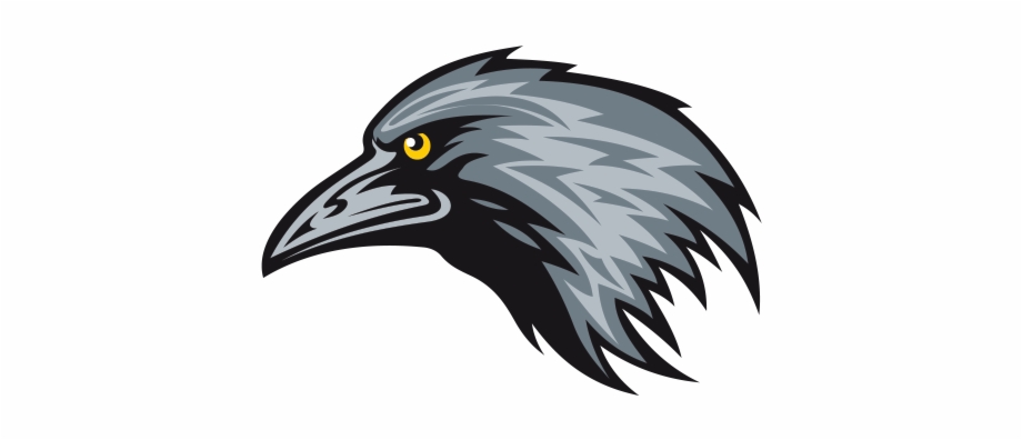 Crow Head Png 920x396 Crow Head Png