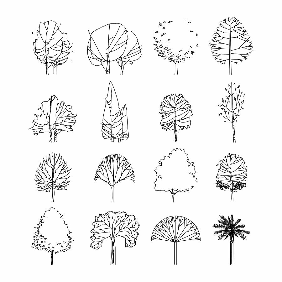 900x900 Side View, Set Of Graphics Trees Elements Outline Symbol
