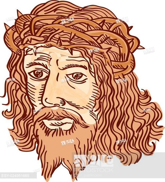 Jesus Christ Face Crown Thorns Etching, Stock Vector, Vector 699x772 Jesus Christ Face Crown Thorns Etching, Stock Vector, Vector