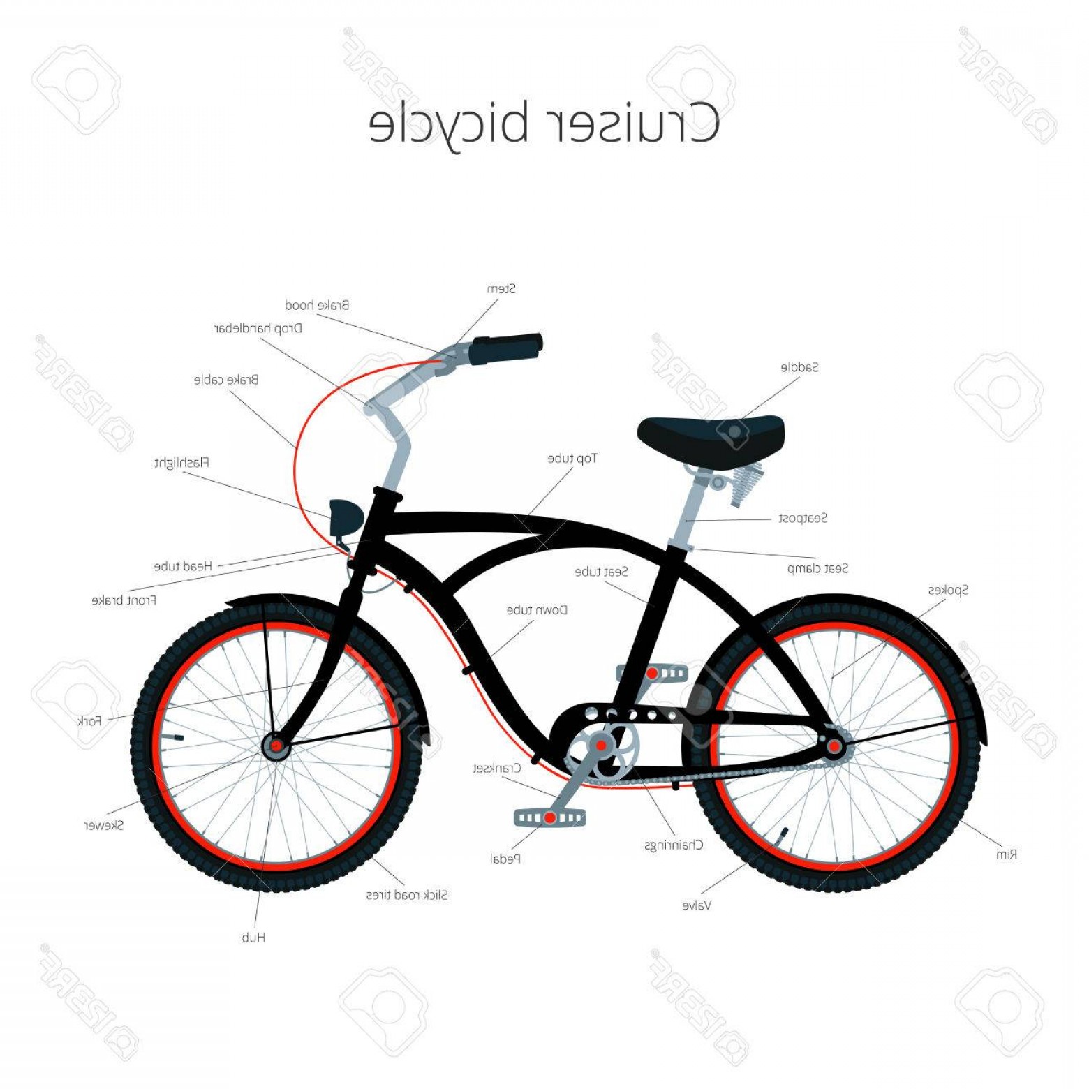 1560x1560 Photostock Vector Cruiser Bicycle Infographic Elements And Parts