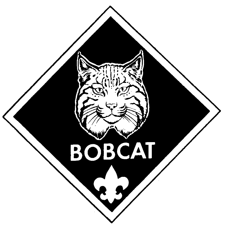 Bobcat Clipart Cub Scout For Free Download And Use Images 960x953 Bobcat Clipart Cub Scout For Free Download And Use Images