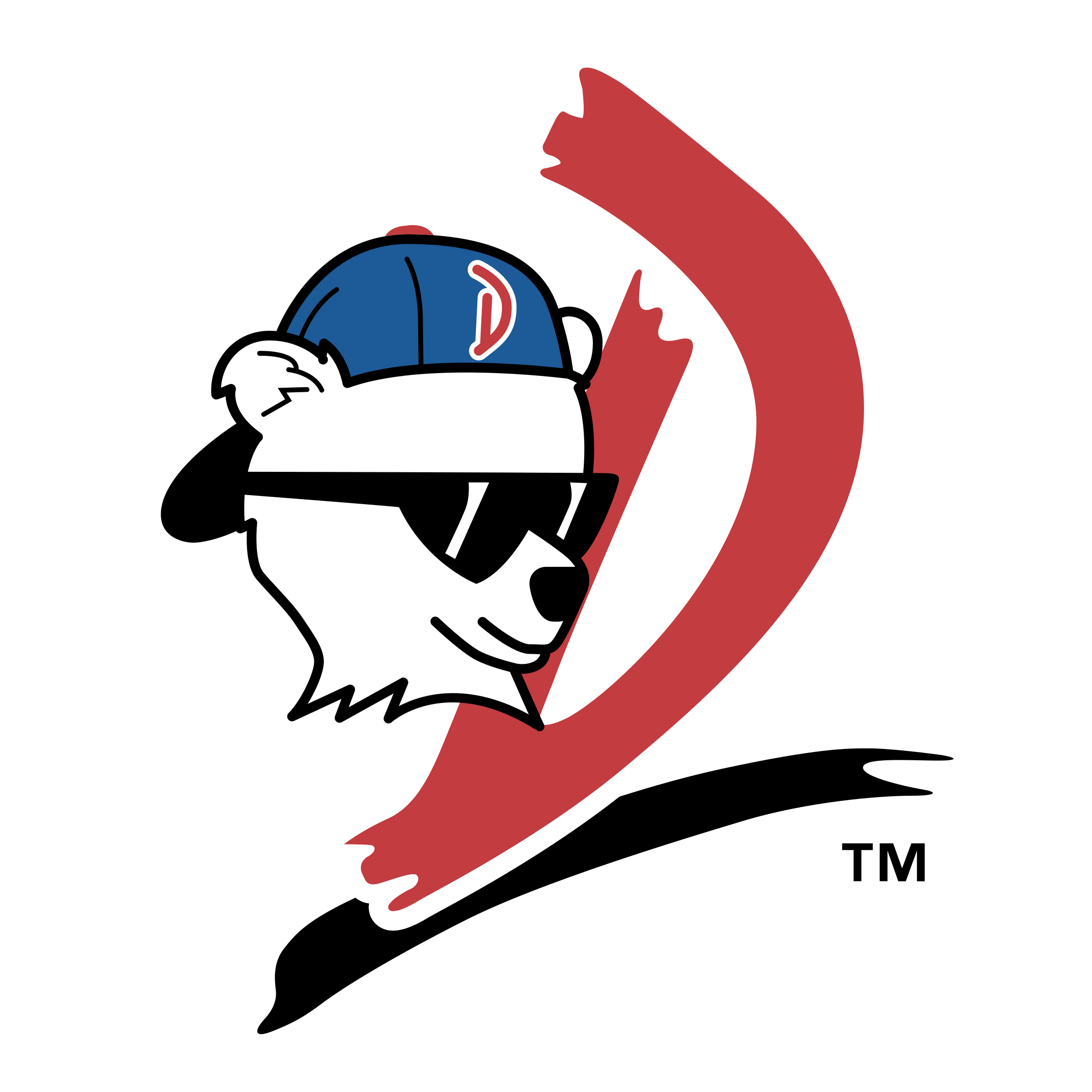 2400x2400 Daytona Cubs Logo Png Transparent Vector