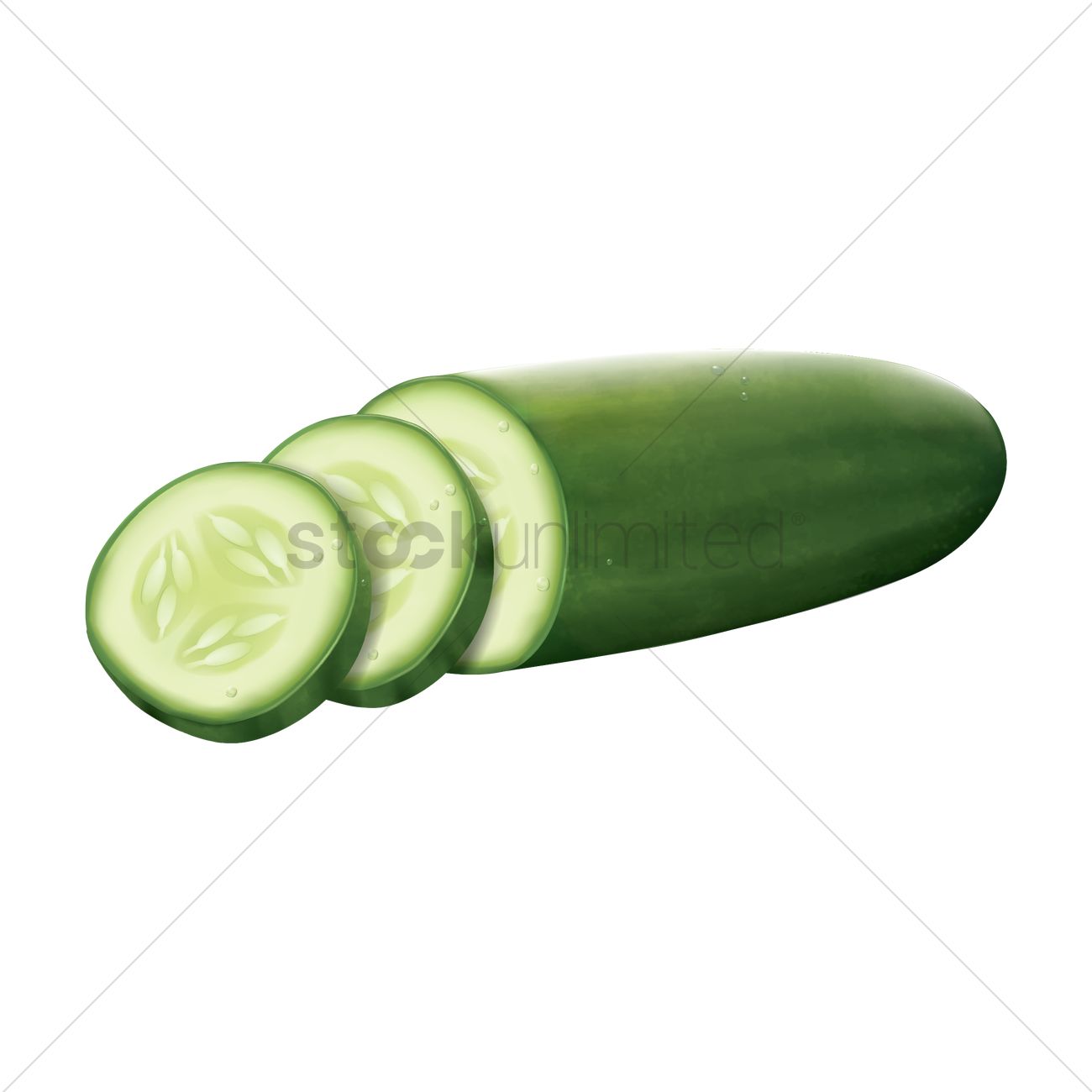 1300x1300 Cucumber Vector Image