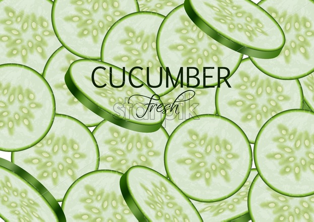 623x441 Cucumber Vector Realistic Fresh Tasty Slices Vegetable Detailed