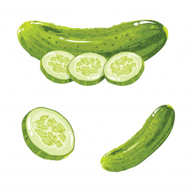 626x626 Cucumber Realistic Vector Premium Download