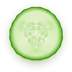 235x235 Cucumber Slice Vector Art Illustration Vegetables