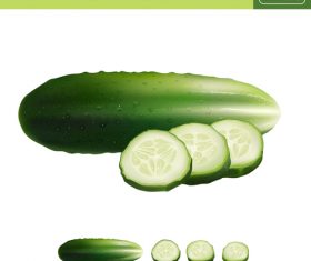 280x235 Cucumber Vector