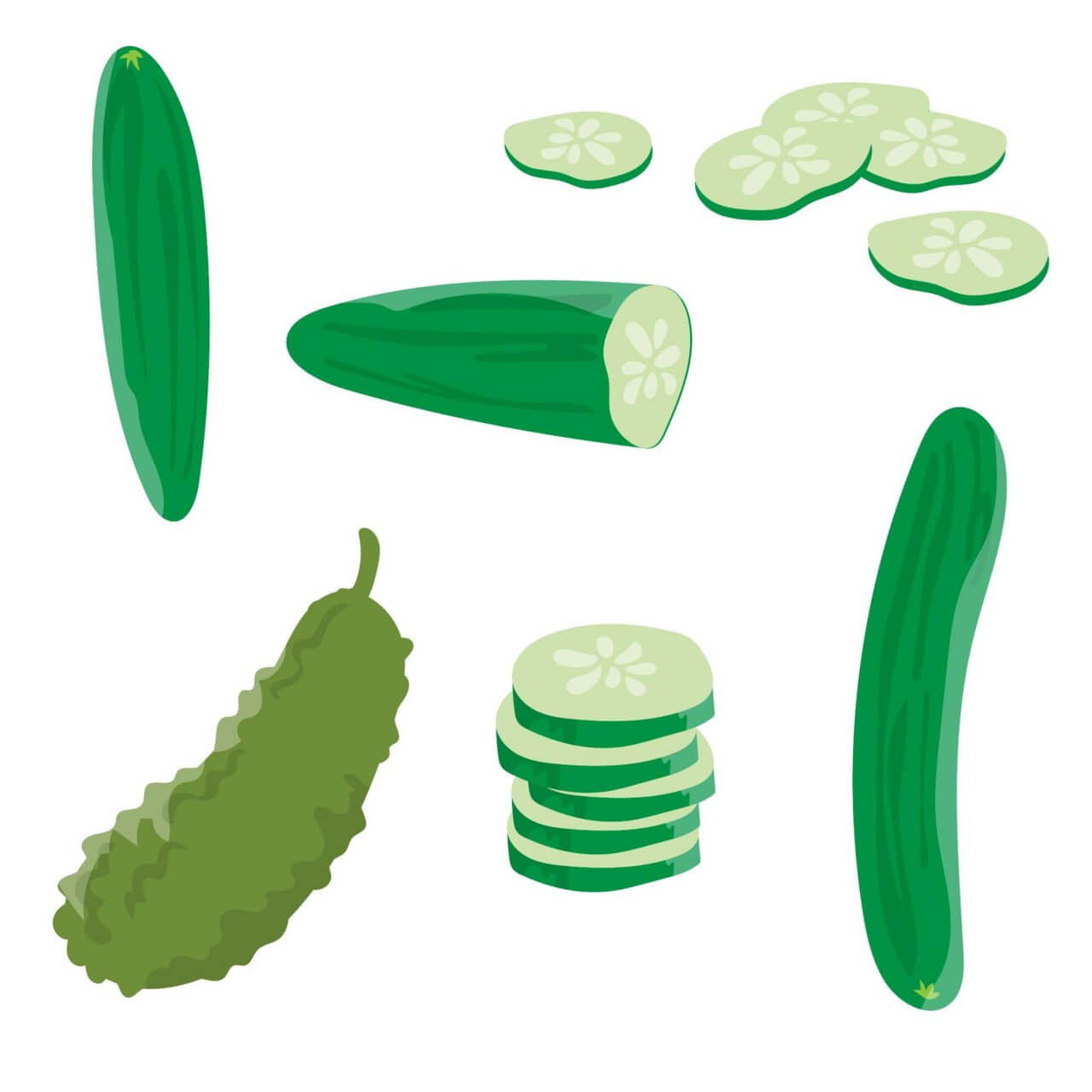 1280x1280 Free Vector Fresh Cucumber Vector