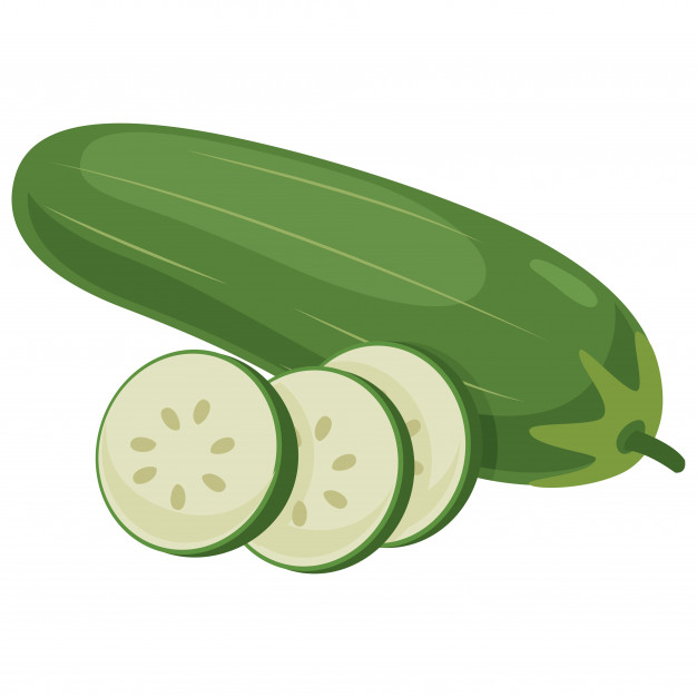 626x626 Vector Illustration Of Cucumber Vector Premium Download