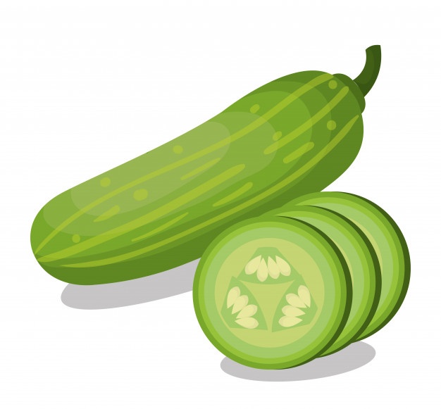 626x581 Cucumber Plant Vectors, Photos And Free Download