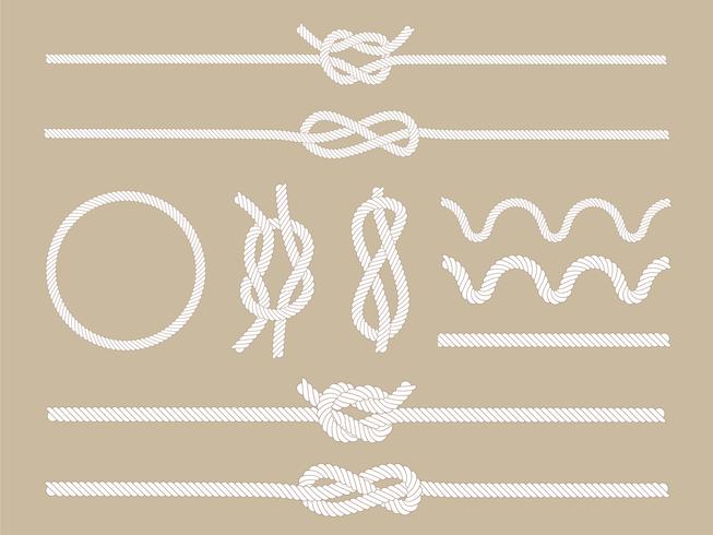 653x490 Cepillo De Cuerda De Vector