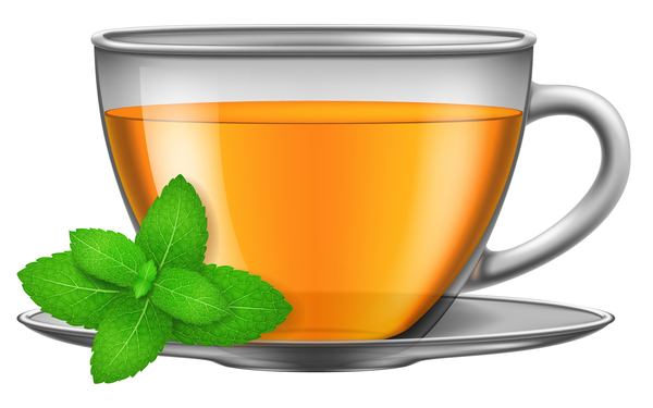 Tea Mint With Glass Cup Vector Free Download 600x375 Tea Mint With Glass Cup Vector Free Download