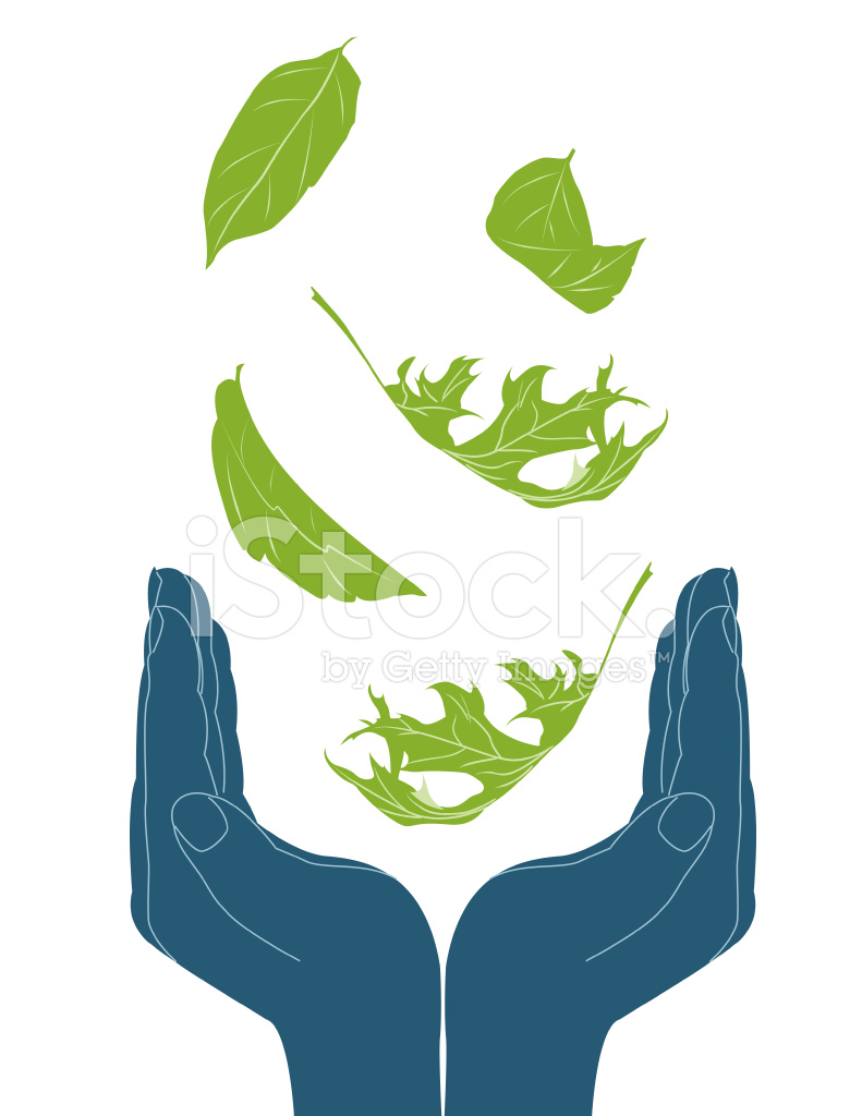 Cupped Hands With Falling Leaves Stock Vector 791x1024 Cupped Hands With Falling Leaves Stock Vector