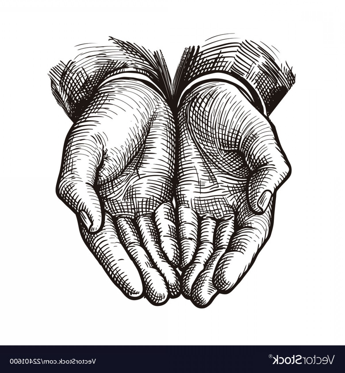 Open Hands Vector Savoyuptown 1200x1296 Open Hands Vector Savoyuptown