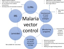 264x200 Current Vector Control Challenges In The Fight Against Malaria
