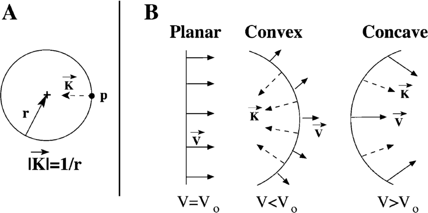 850x424 A Definition Of The Curvature Vector, Illustrated For A Circle