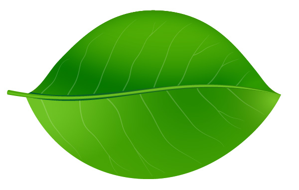 Download Curved Leaf Vector at Vectorified.com | Collection of ...