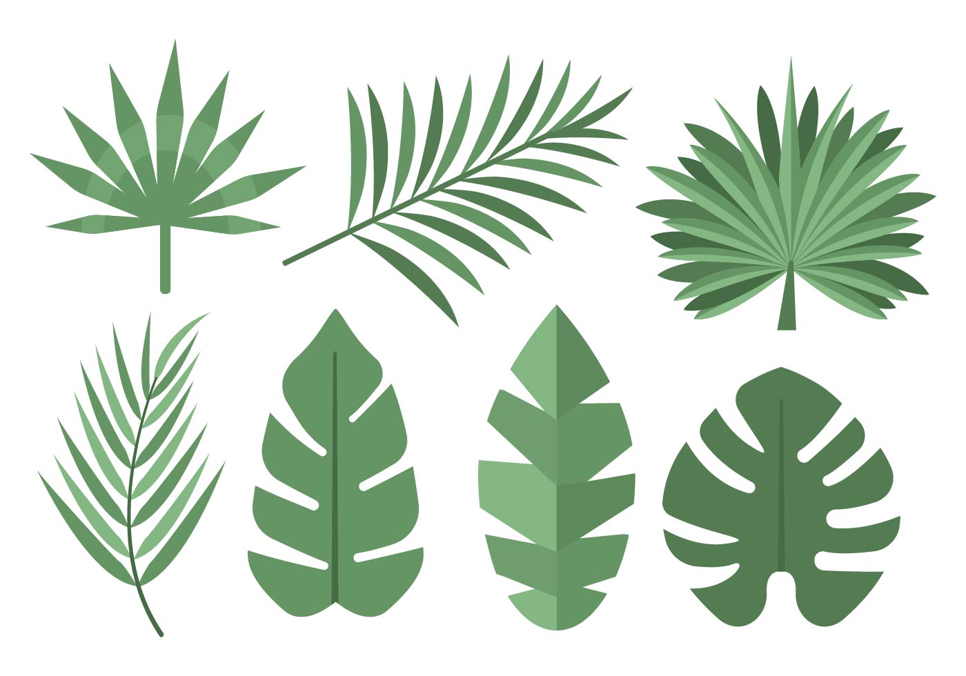 1400x980 Jungle Leaves Free Vector Art