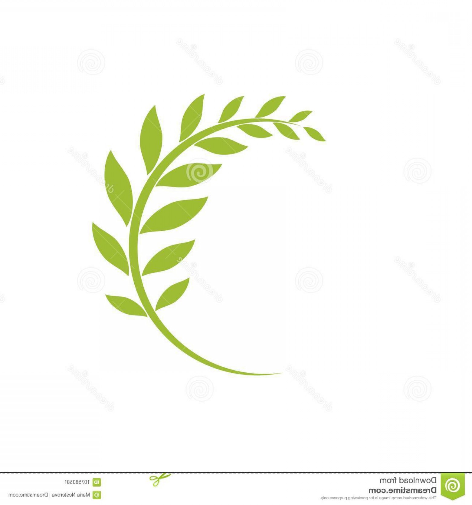 1560x1668 Twig Round Vector Cultracing