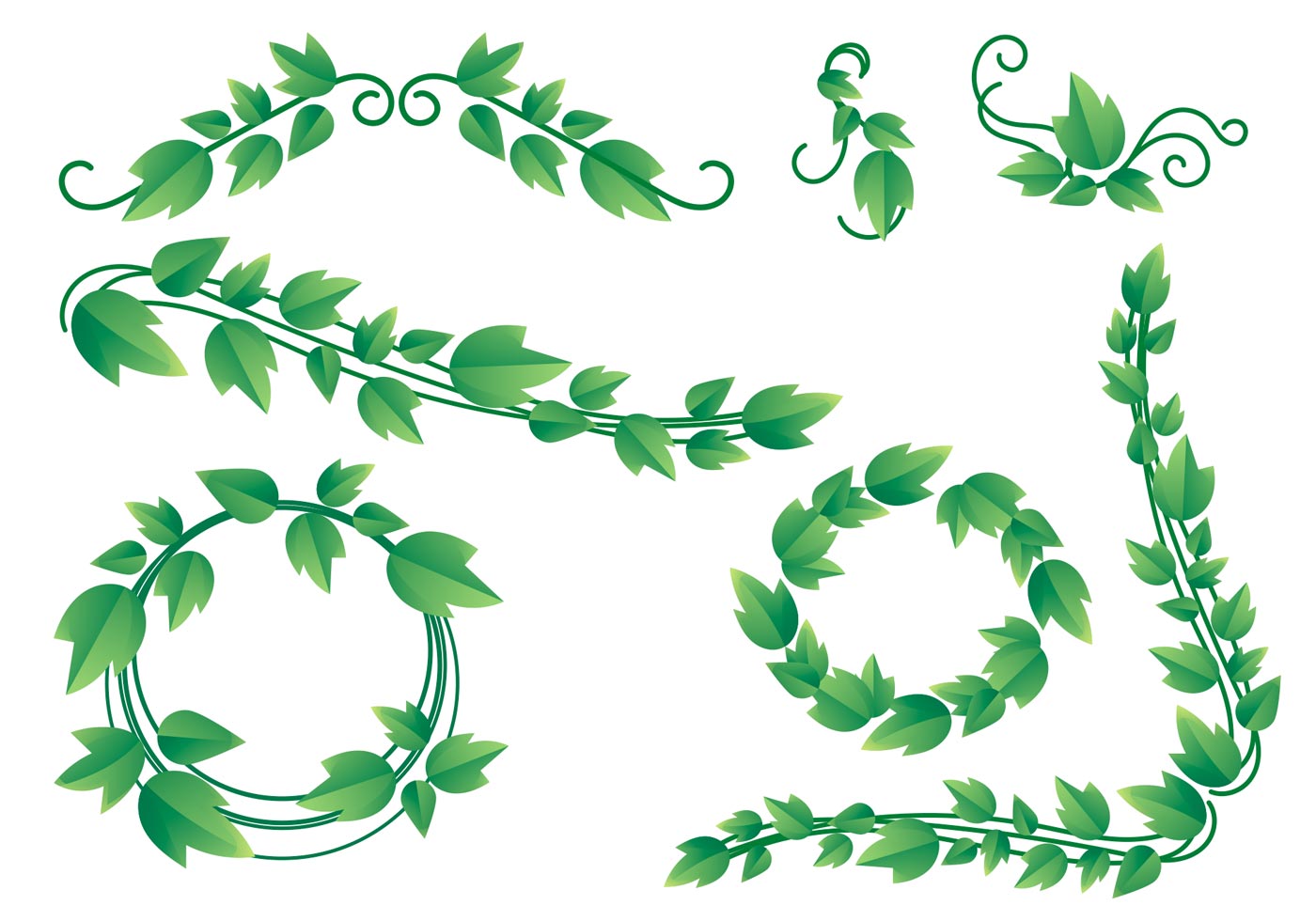 1400x980 Vine Leaves Free Vector Art