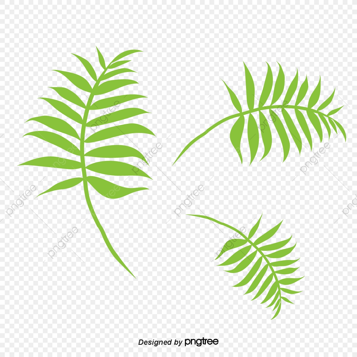 1200x1200 Cartoon Hand Painted Curved Palm Leaves, Cartoon, Summer, Hand
