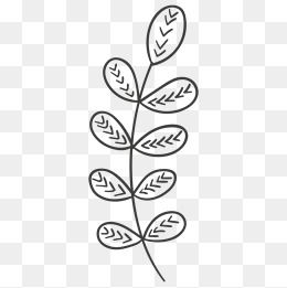 260x261 Curved Leaf Logo