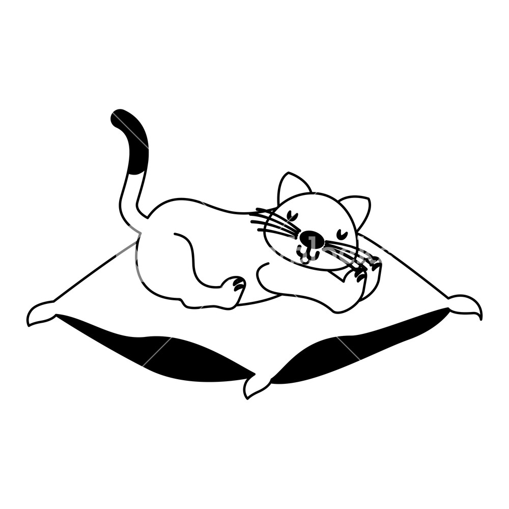 Domestic Cat Sleeping On The Cushion Vector Illustration Vector 1000x1000 Domestic Cat Sleeping On The Cushion Vector Illustration Vector