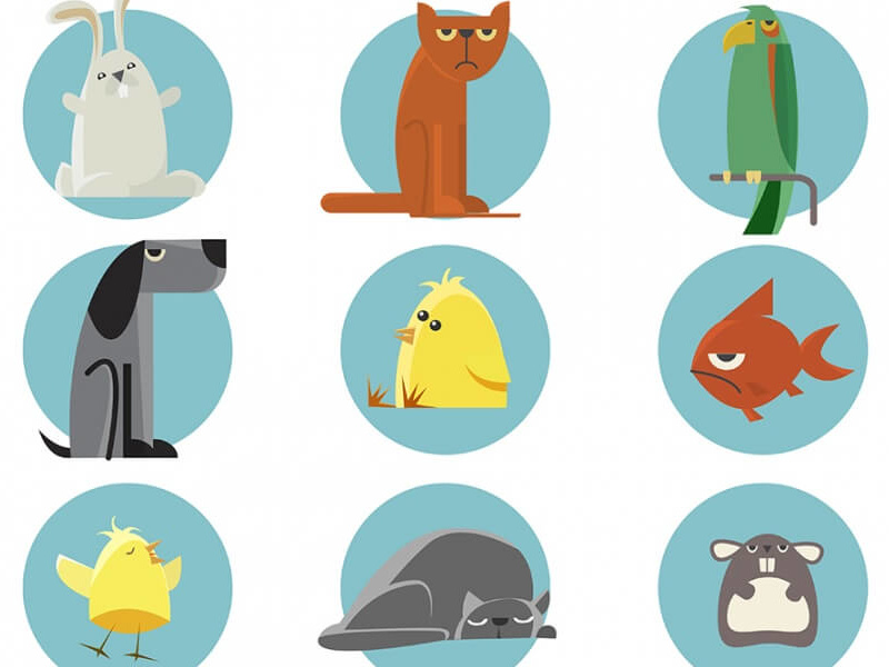 800x600 Cute Animals Vector Illustration