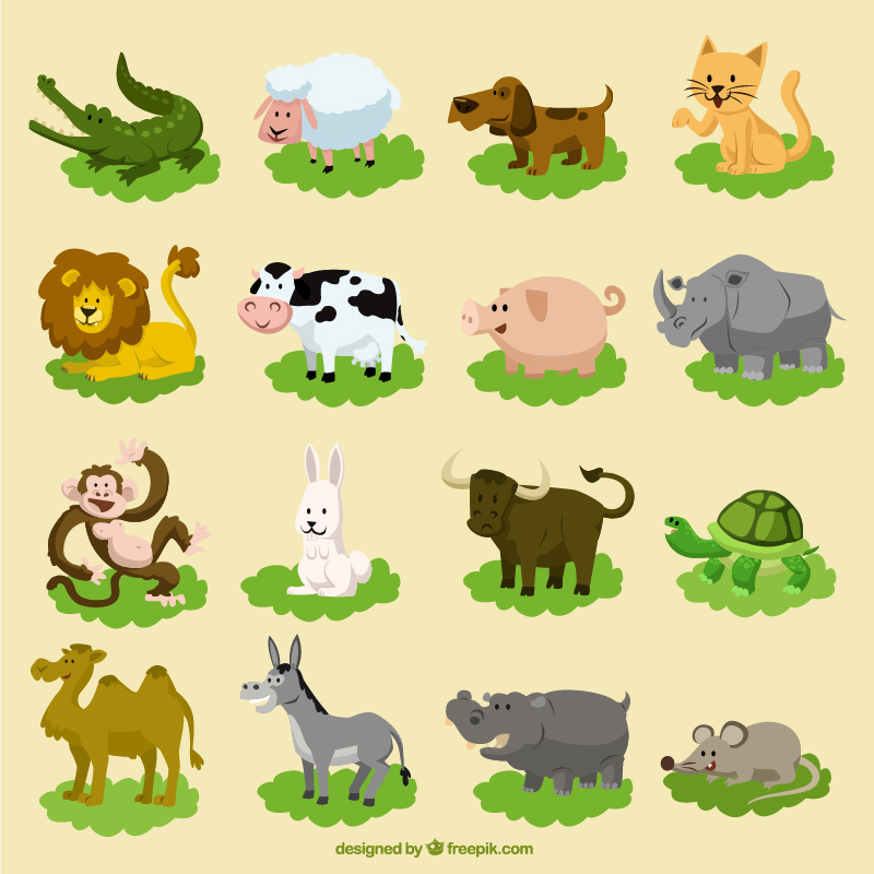 800x800 Cute Animals Vector Set On Behance