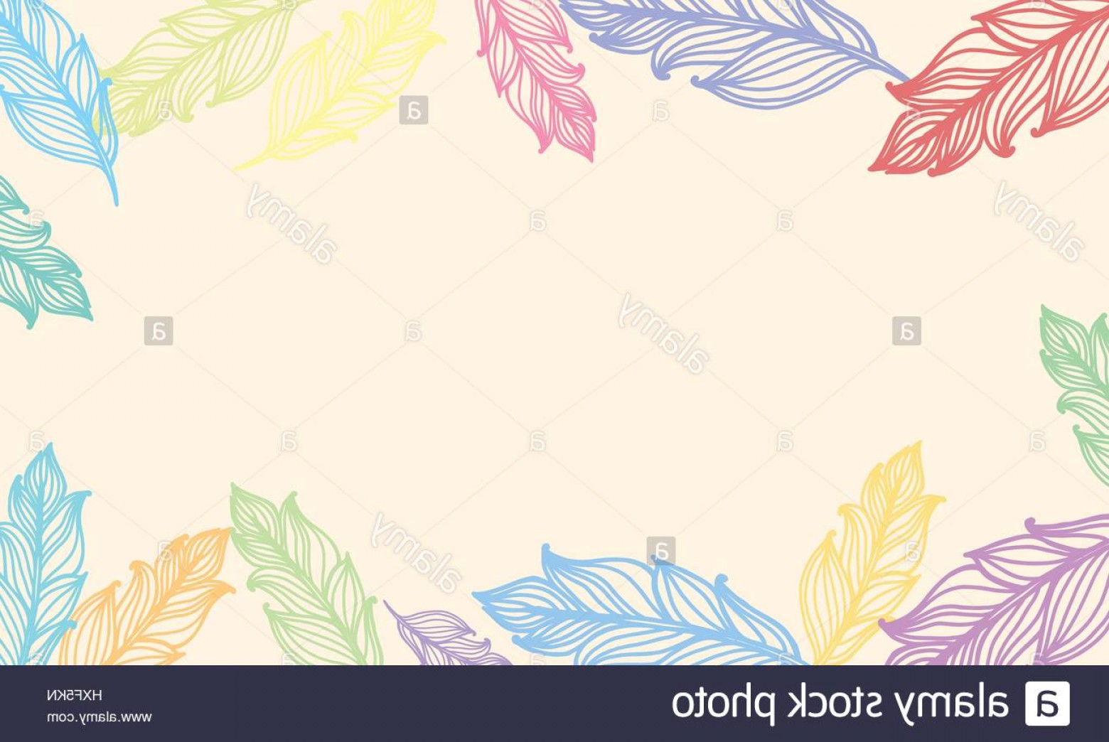 Stock Photo Cute Background With Feathers Vector Card Design 1560x1044 Stock Photo Cute Background With Feathers Vector Card Design