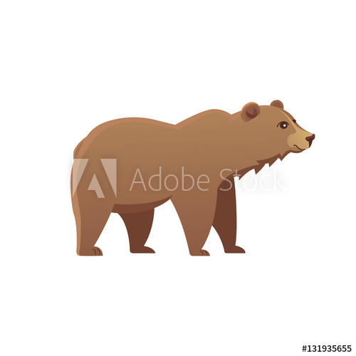500x500 Cute Bear Vector Illustration Grizzly