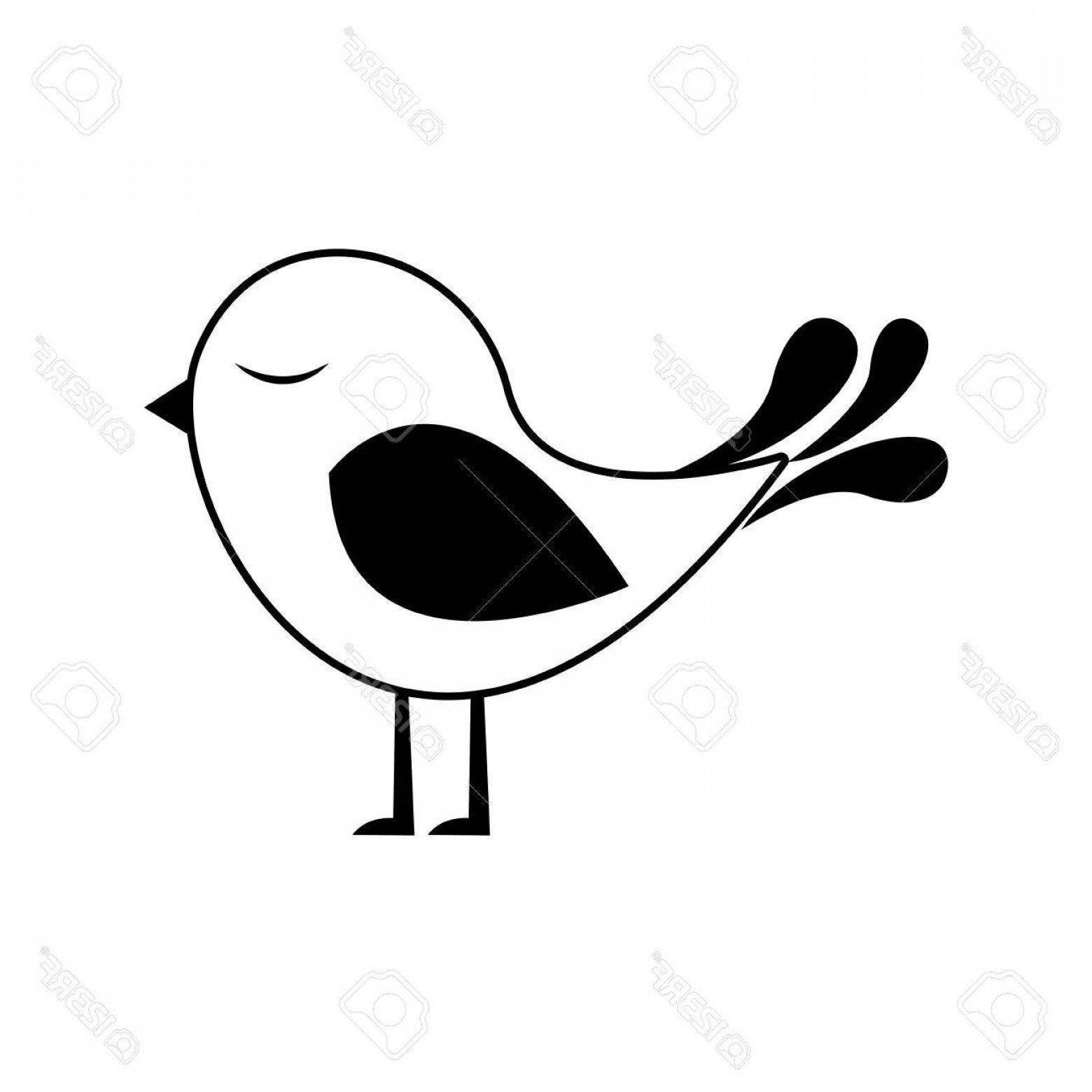1560x1560 Cute Bird Vector Savoyuptown