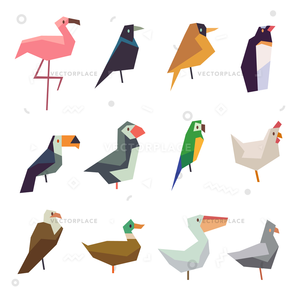 1000x1000 Cute Birds Flat Icons Set Wild Vector Illustration