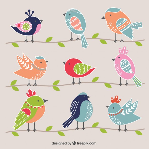 626x626 Cute Birds Vector Premium Download