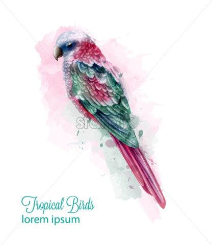 416x480 Tropic Colorful Parrot Bird Vector Watercolor Cute Bird