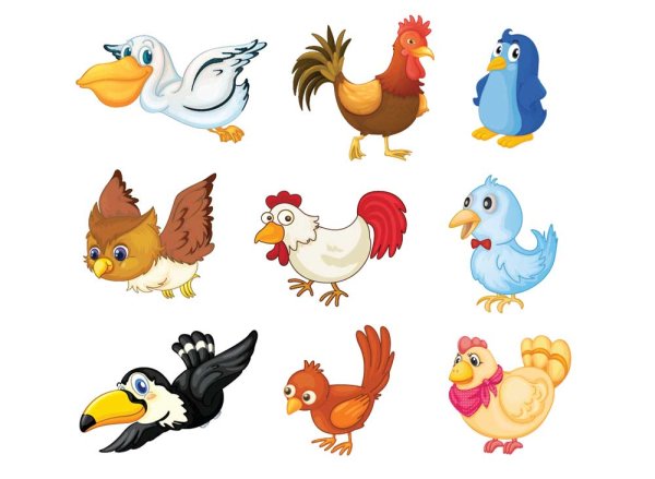 600x439 Various Cute Birds Vector Set Free Download