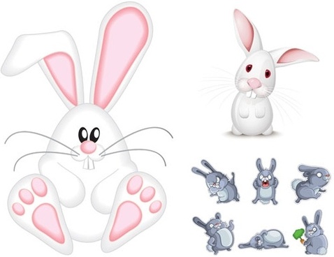 478x368 Rabbit Free Vector Download