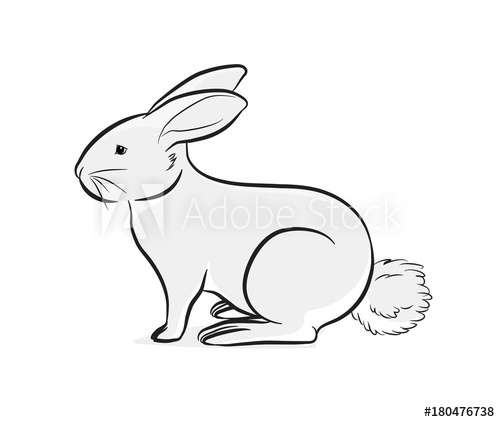 500x422 Cute Bunny Vector Illustration