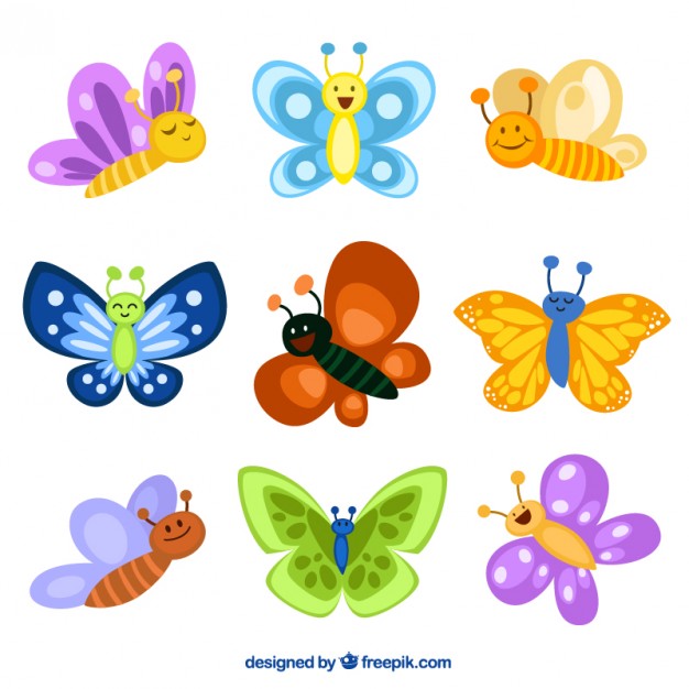 626x626 Cute Butterflies Illustrations Vector Premium Download