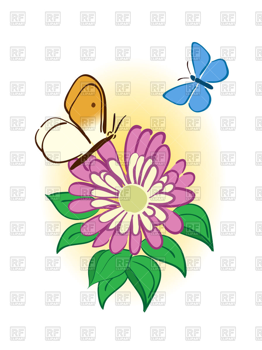 897x1200 Cute Pink Flower With Butterflies Vector Image Of Plants