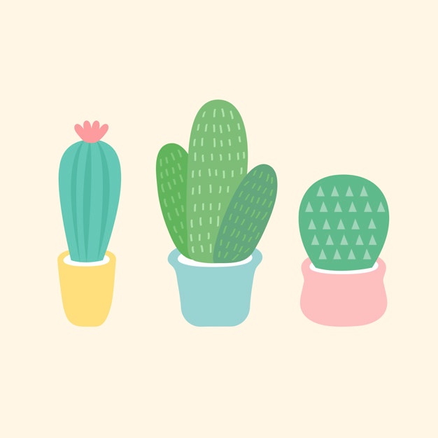 626x626 Cute Cactus Vectors, Photos And Free Download