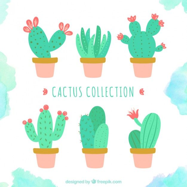 626x626 Cute Cactus Collection Crafts Cactus Images, Cactus Vector