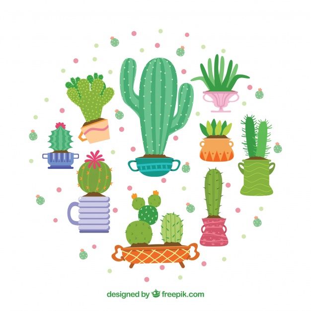 626x626 Cute Cactus Collection Free Vector Vector Clip Art