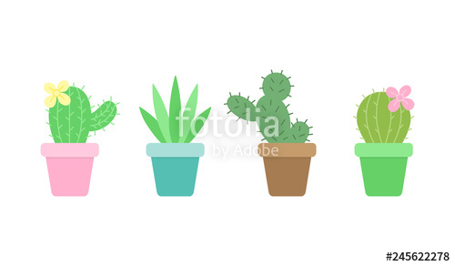 500x292 Cute Cactus Set, Four Different Cacti In Little Plant Pots, Vector