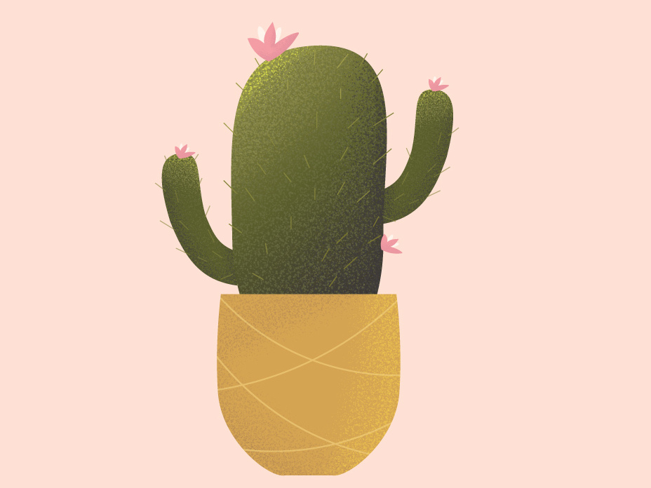 928x696 Cute Cactus Edited