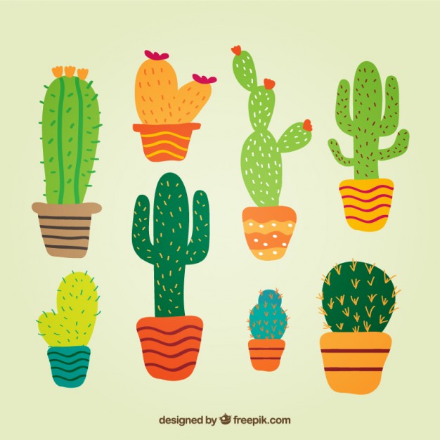 626x626 Cactus In Cute Style Vector Free Download
