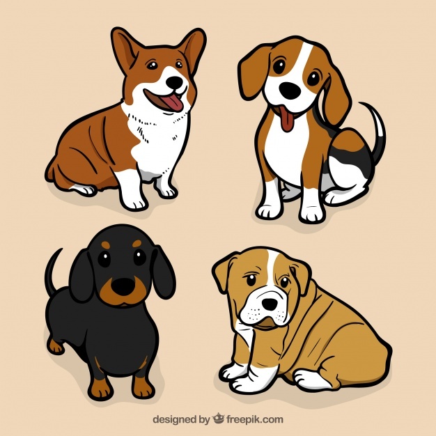 626x626 Dog Vectors, Photos And Free Download