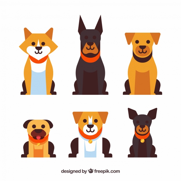 626x626 Dog Vectors Free Vector Graphics Everypixel